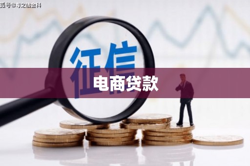 普安电商贷款