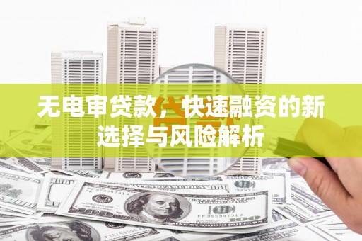 普安无电审贷款，快速融资的新选择与风险解析