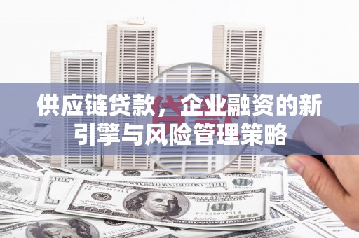 普安供应链贷款，企业融资的新引擎与风险管理策略