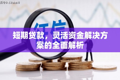 普安短期贷款，灵活资金解决方案的全面解析