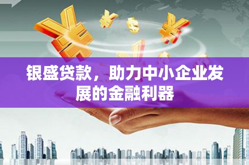 普安银盛贷款，助力中小企业发展的金融利器