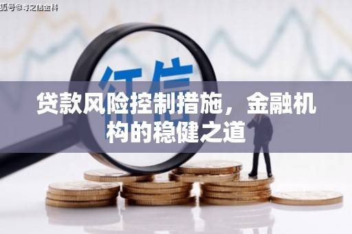 普安贷款风险控制措施，金融机构的稳健之道