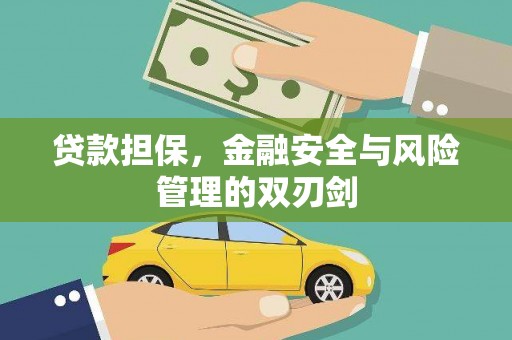 普安贷款担保，金融安全与风险管理的双刃剑