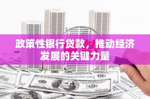 普安政策性银行贷款，推动经济发展的关键力量