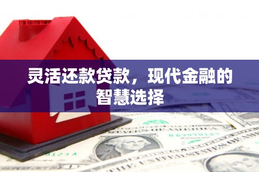 普安灵活还款贷款，现代金融的智慧选择