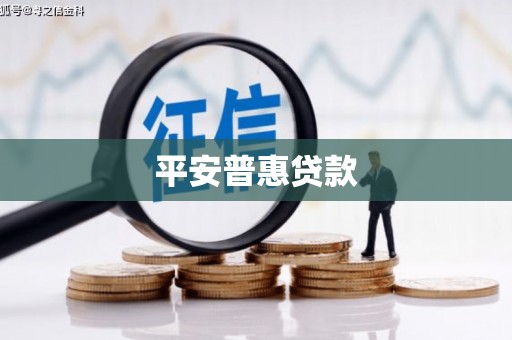 普安平安普惠贷款