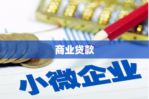 普安商业贷款