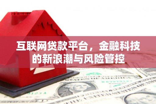 普安互联网贷款平台，金融科技的新浪潮与风险管控