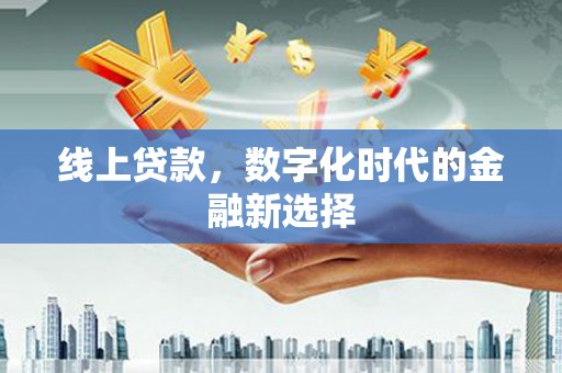 普安线上贷款，数字化时代的金融新选择