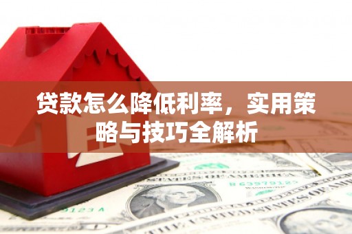 普安贷款怎么降低利率，实用策略与技巧全解析