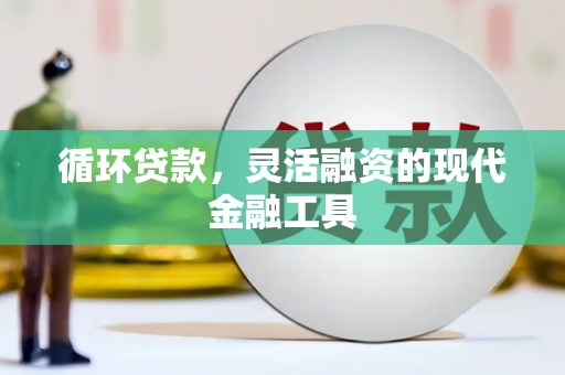普安循环贷款，灵活融资的现代金融工具