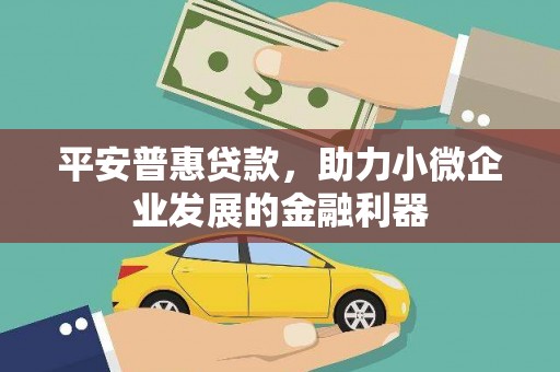 普安平安普惠贷款，助力小微企业发展的金融利器
